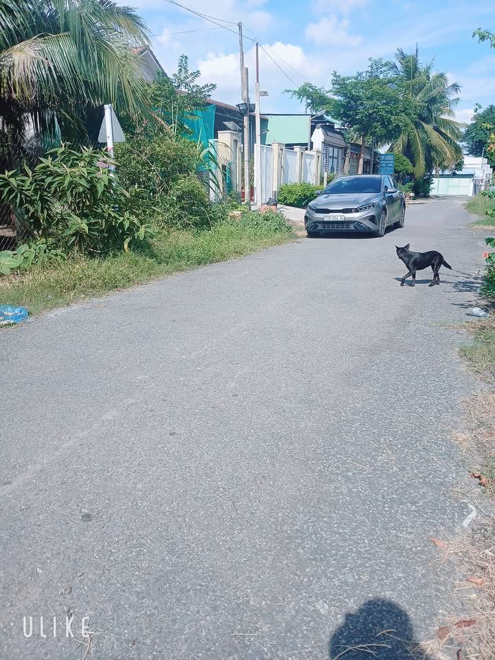 Đất nền Hiệp Ninh Tây Ninh 208m² giá 2.3 tỷ - Mặt tiền nhựa 10m, cơ hội đầu tư hấp dẫn!