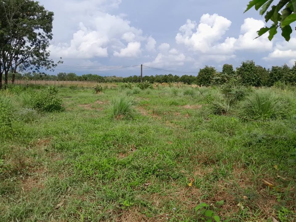 Bán đất 3 sào 5 tại xã Đak Lua, Tân Phú, Đồng Nai giá chỉ 1.1 tỷ - Đầu tư sinh lời ngay!