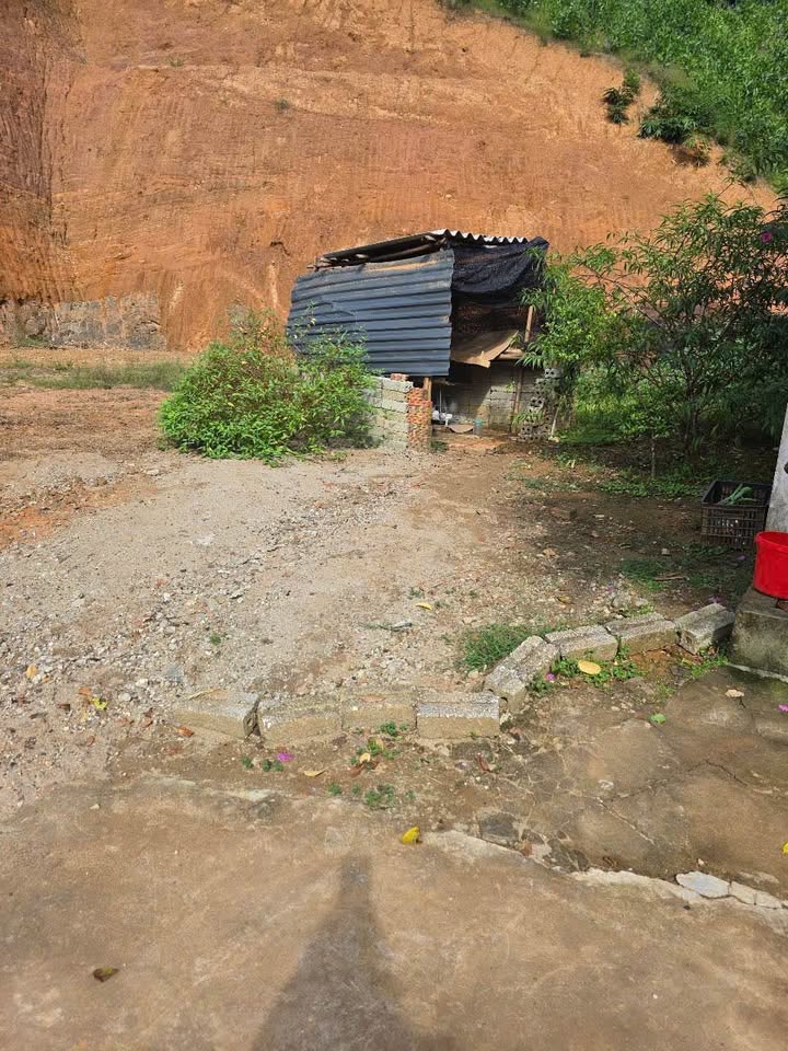 Đất nền Đồng Tâm, Yên Bái 100m² giá 600 triệu - Đầu tư sinh lời ngay!