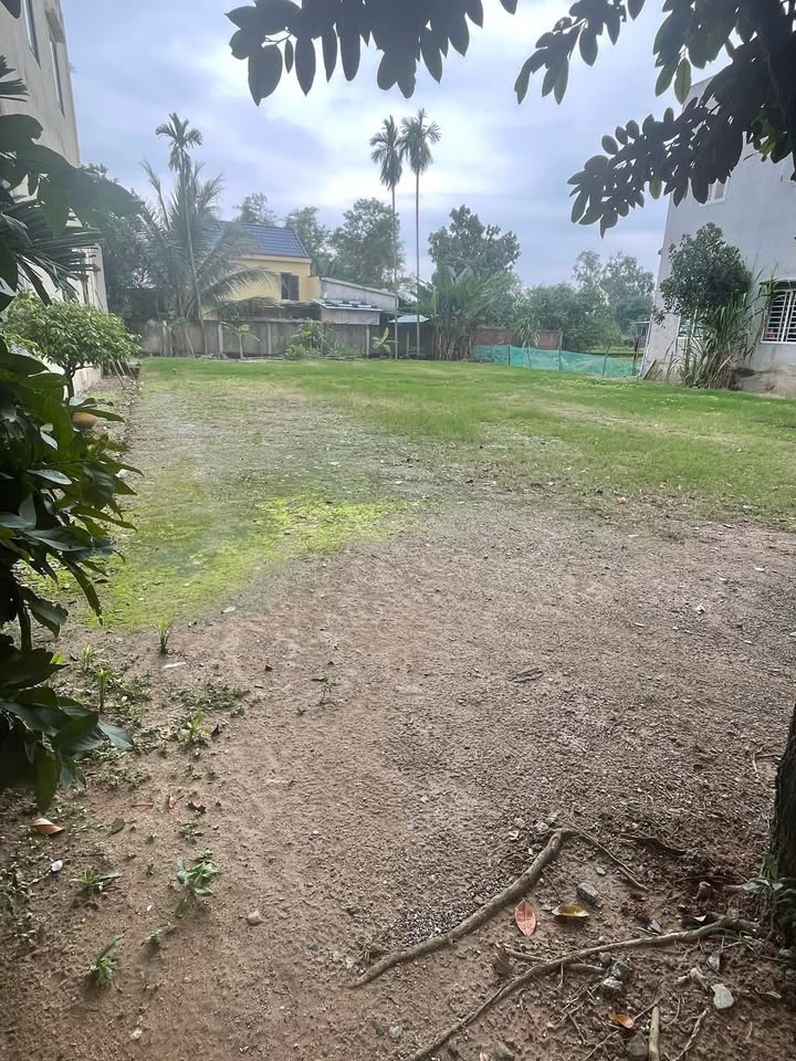 Đất cho thuê 700m² tại xã Hòa Tiến, Đà Nẵng - Thích hợp làm bãi xe, kho, xưởng