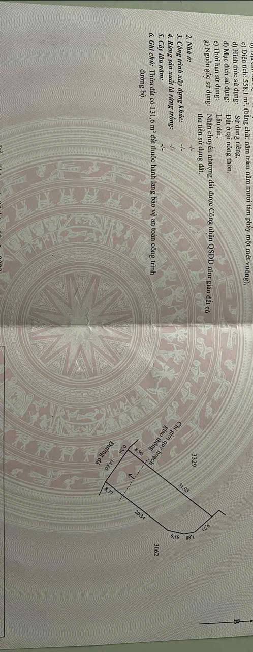 Đất nền Mỹ Thọ, Cao Lãnh 600m² giá 799 triệu - Cơ hội đầu tư hấp dẫn!