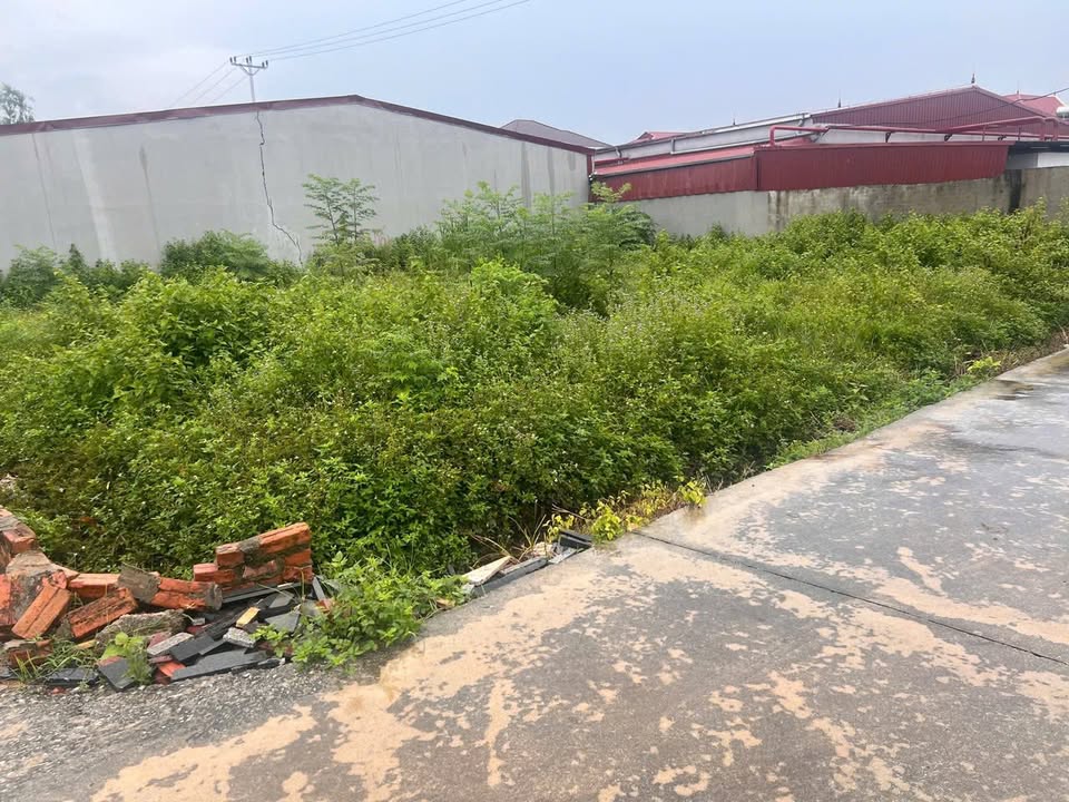 Bán đất thôn Muối, xã Lan Mẫu, 105m² - Giá chỉ 600 triệu, cơ hội đầu tư hấp dẫn!