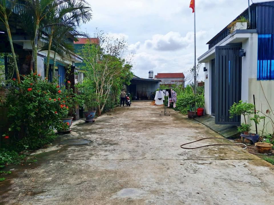 Lô đất ngõ 52 đường Lê Bá Cảnh, phường Đại Nài, 111.4m² giá 980 triệu - Cơ hội tốt cho người thu nhập thấp!