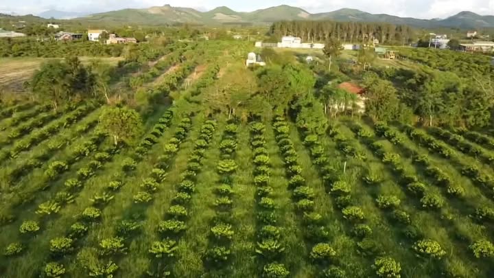 Đất nông nghiệp Ea Ô, 2.8ha giá 28 tỷ - Sổ đỏ chính chủ, đầy đủ tiện ích!