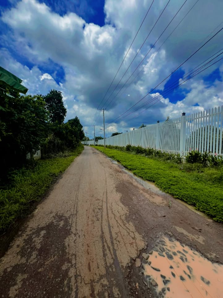 Đất nền Cẩm Mỹ Đồng Nai 8809m² giá 1.2 tỷ - Đầu tư sinh lời hấp dẫn!