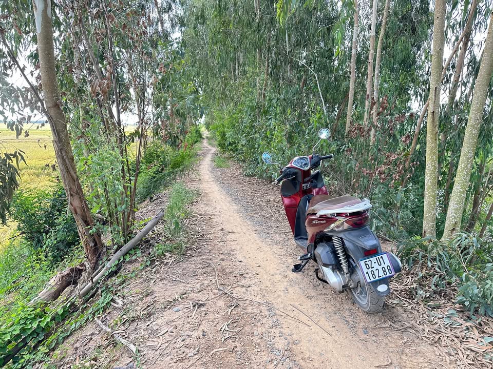 Đất nông nghiệp Kinh T1, Tân Hưng, 35.000m² - Đất vuông vức, giá thương lượng!