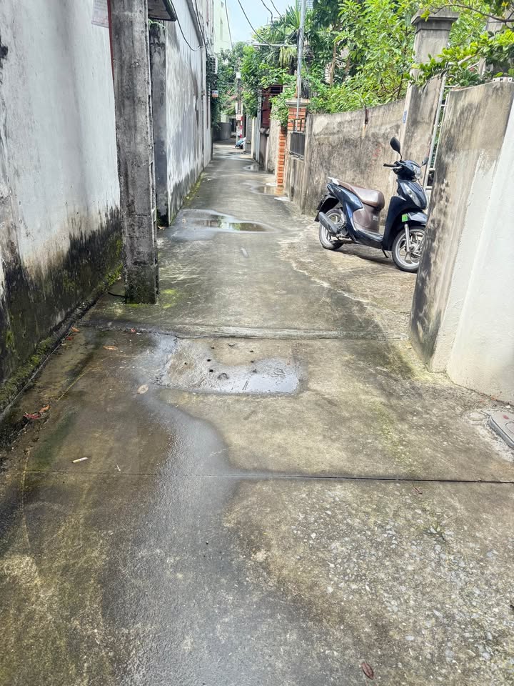 Đất nền Cổ Bi 39m² giá chỉ 3 tỷ - Đầu tư sinh lời ngay!