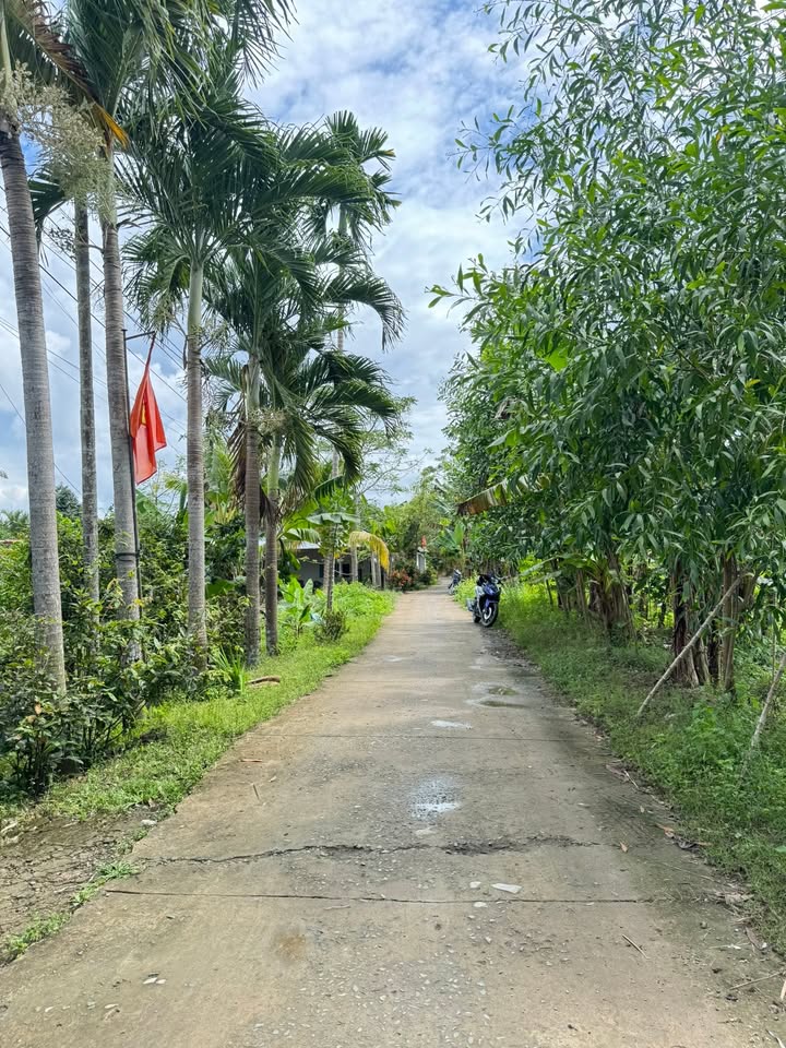 Đất nền Phú Hữu Cần Thơ 366m² giá 780 triệu - Sổ hồng riêng chính chủ