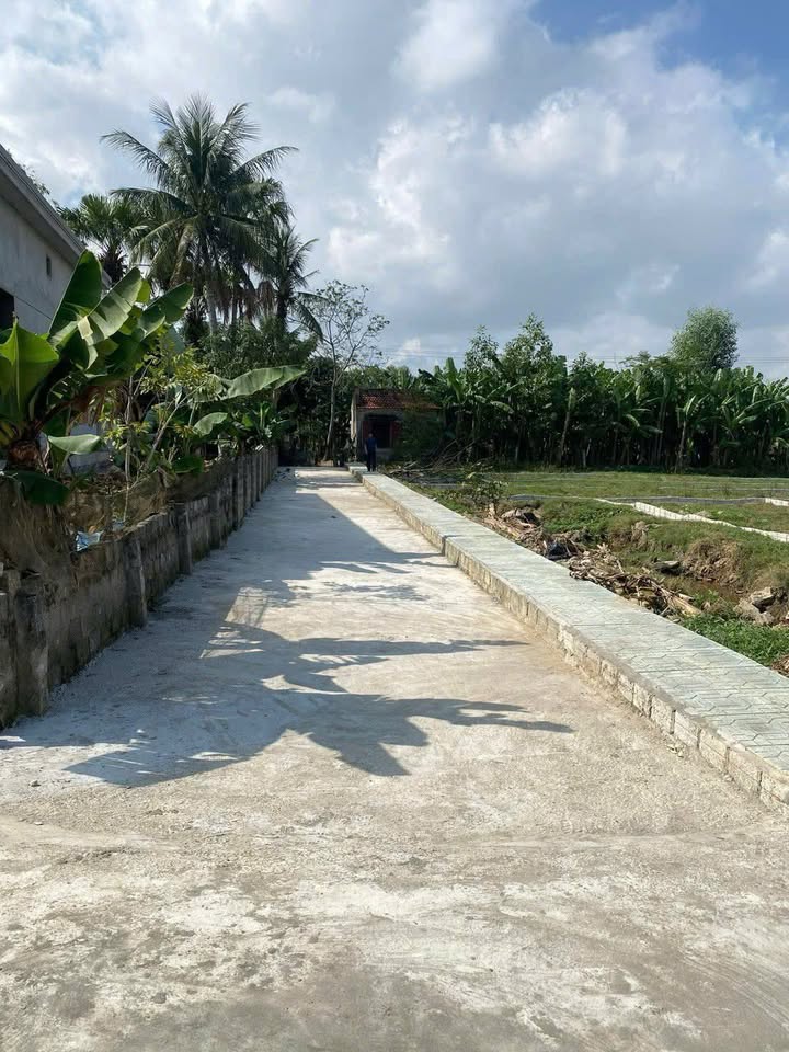 Đất nền Tế Nông Nông Cống 130m² - Khu dân cư sầm uất, giá chỉ 2xx triệu!