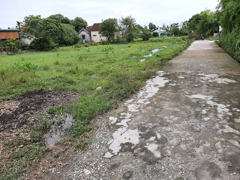 Đất thổ cư thôn Đại Phú, Phong Dinh 106m² - Giá thỏa thuận hấp dẫn!