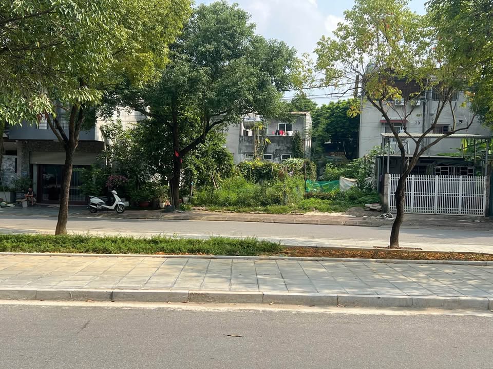 Nhà riêng Trương Định, Bắc Cường 91.2m² giá 3 tỷ - Gần công viên xanh mát!