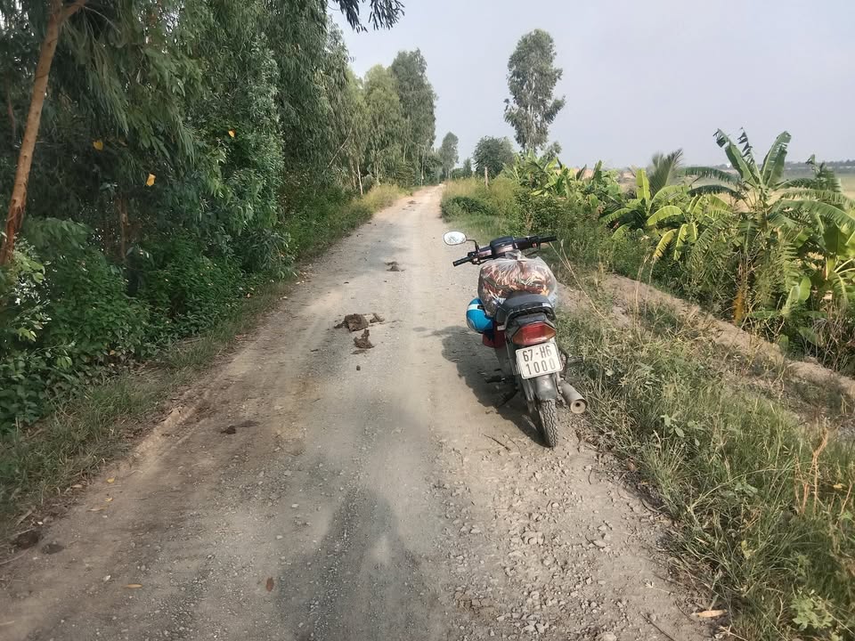 Đất nền mặt tiền kênh An Phước Tân Hồng 35000m² - Giá thỏa thuận hấp dẫn!