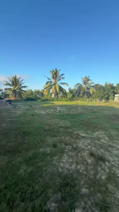 Đất nền Hậu Thạnh, Tây Ninh 2800m² - Giá thỏa thuận chính chủ