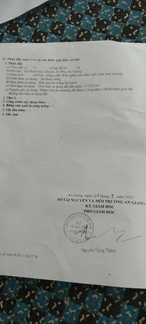 Đất vườn Nhơn Hội, An Phú, An Giang 4440m² - Giá chỉ 1.444 tỷ, cơ hội đầu tư tuyệt vời!