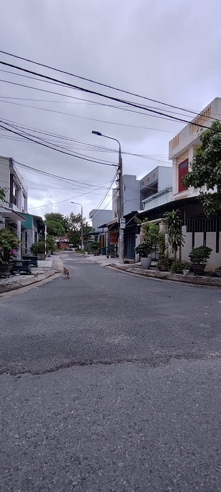 Đất nền KDC Tứ Hiệp, Tam Kỳ 100m² giá 1.9 tỷ - Cơ hội đầu tư hấp dẫn!