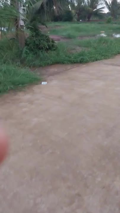 Đất nền 12.000m² tại xã An Hiệp, huyện Ba Tri - Cơ hội đầu tư hấp dẫn!