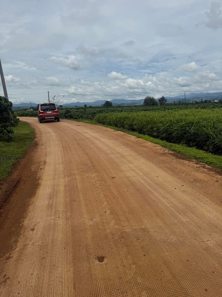 Đất nền Tân Hội, Đức Trọng 645m² giá 950 triệu - Cơ hội đầu tư hiếm có!