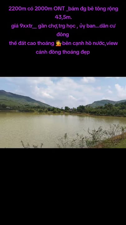 Đất Farm Cao Ngọc Ngọc Lặc 2200m² giá 9 tỷ - View hồ cánh đồng thoáng đãng!