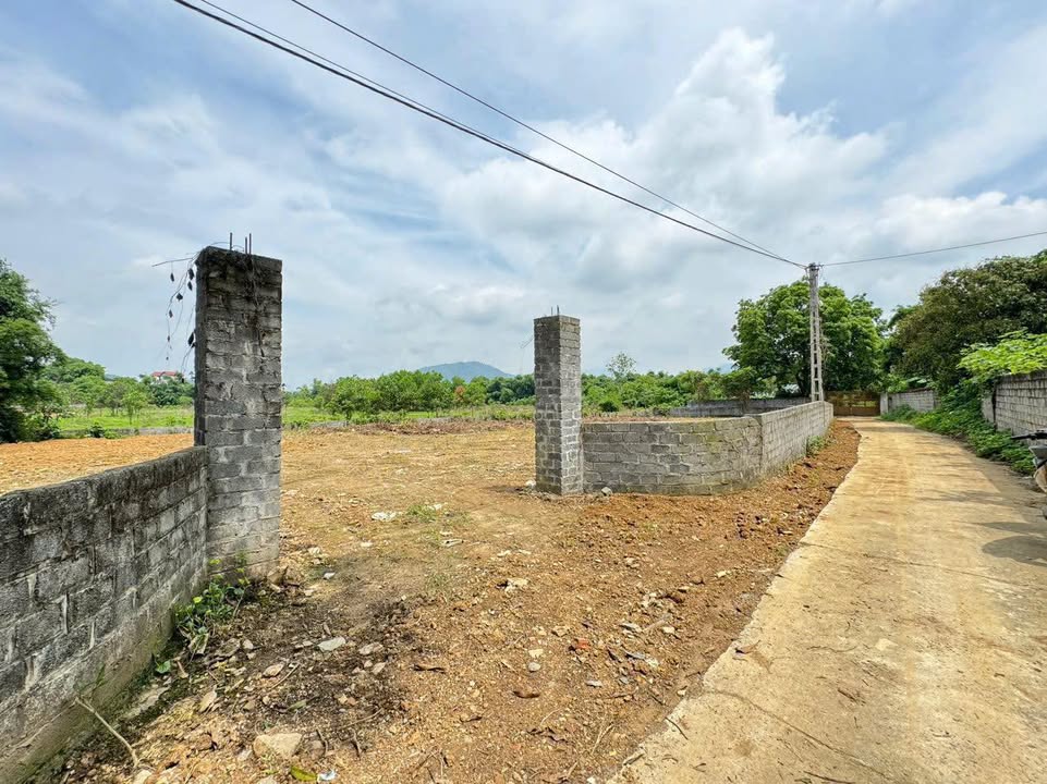 Đất nền Tân Vinh, Lương Sơn 1410m² - Giá thỏa thuận, cơ hội đầu tư tuyệt vời!