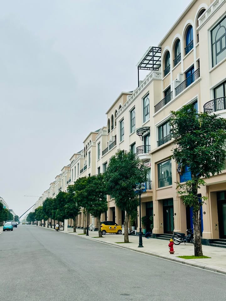 Shophouse Cọ Xanh 75m² Ocean Park 2 - Mặt đường 20m, Kinh doanh thuận lợi!