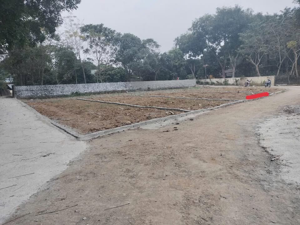 Đất nền Yên Phú, Yên Định 104m² giá chỉ 2 tỷ - Đầu tư sinh lời cao!