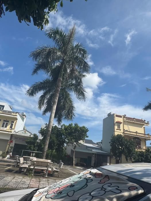 Nhà riêng Nguyễn Tri Phương Móng Cái 90m² giá 3 tỷ - Hướng Đông Bắc, gần công viên!