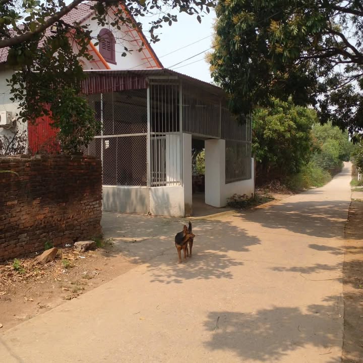 Nhà kiên cố xã Tiên Hưng, Lục Nam 260m² giá 2 tỷ - Sẵn sàng dọn vào ở!