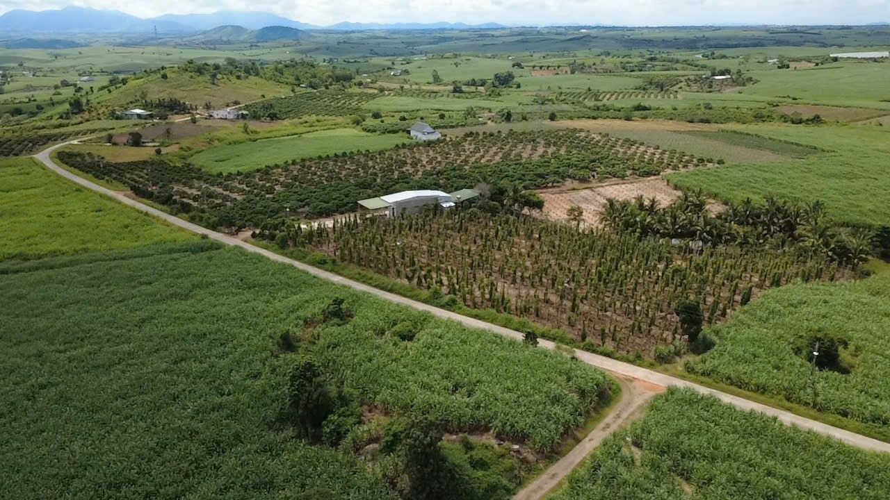 Farm 9ha tại Ea Sar, Đắk Lắk giá 900 triệu - Đầy tiềm năng đầu tư!