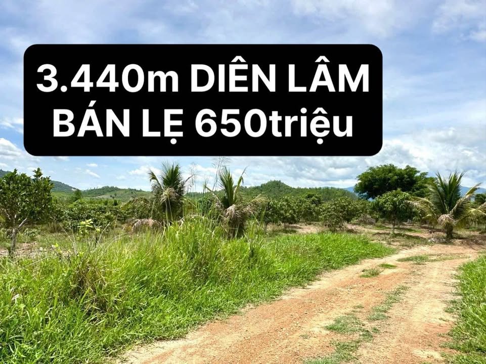 Đất vườn Diên Lâm 3440m² giá 650 triệu - Cơ hội đầu tư tuyệt vời!