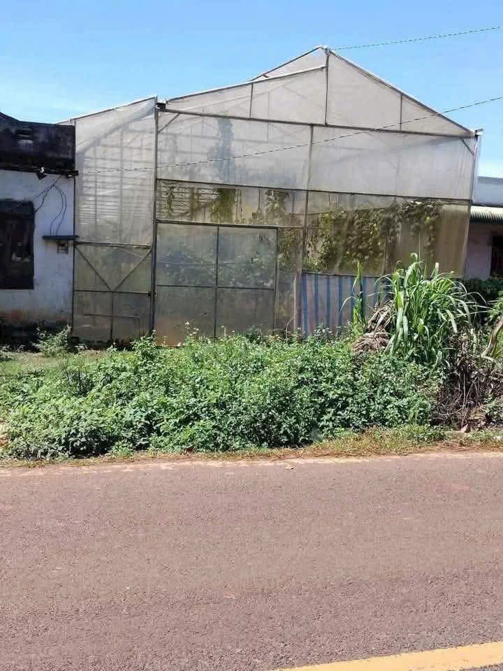 Đất sào mặt tiền đường DH2 Đức Trọng 2400m² giá 4.25 tỷ - Cơ hội đầu tư hấp dẫn!