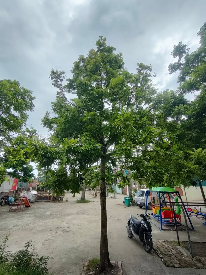 Nhà phố 5 tầng Thượng Cát 30m² giá thỏa thuận - Ô tô đỗ cửa tiện lợi!