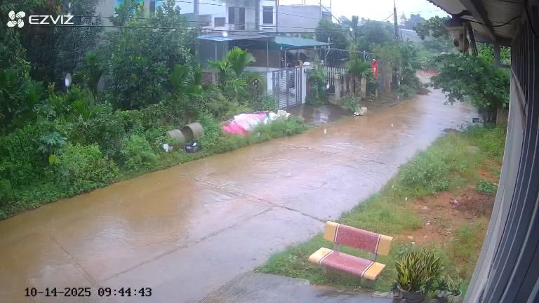 Đất cho thuê tại đường Bình Thuận, Hưng Thành, 750m² - Vị trí cao, không ngập lụt