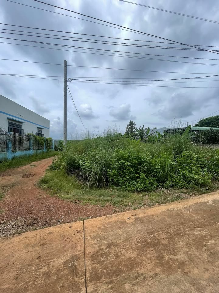 Đất nền Vĩnh An, Vĩnh Cửu 517m² giá chỉ 1.15 tỷ - Cơ hội đầu tư tuyệt vời!