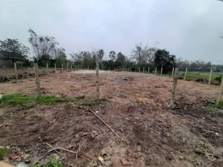 Đất nền Diên Sanh, Hải Lăng 300m² - Thích hợp xây nhà ở ngay!