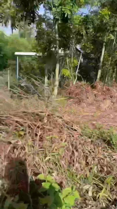 Đất nền mặt tiền nhựa Vĩnh An 360m² chỉ 800 triệu - Cơ hội đầu tư sinh lời!