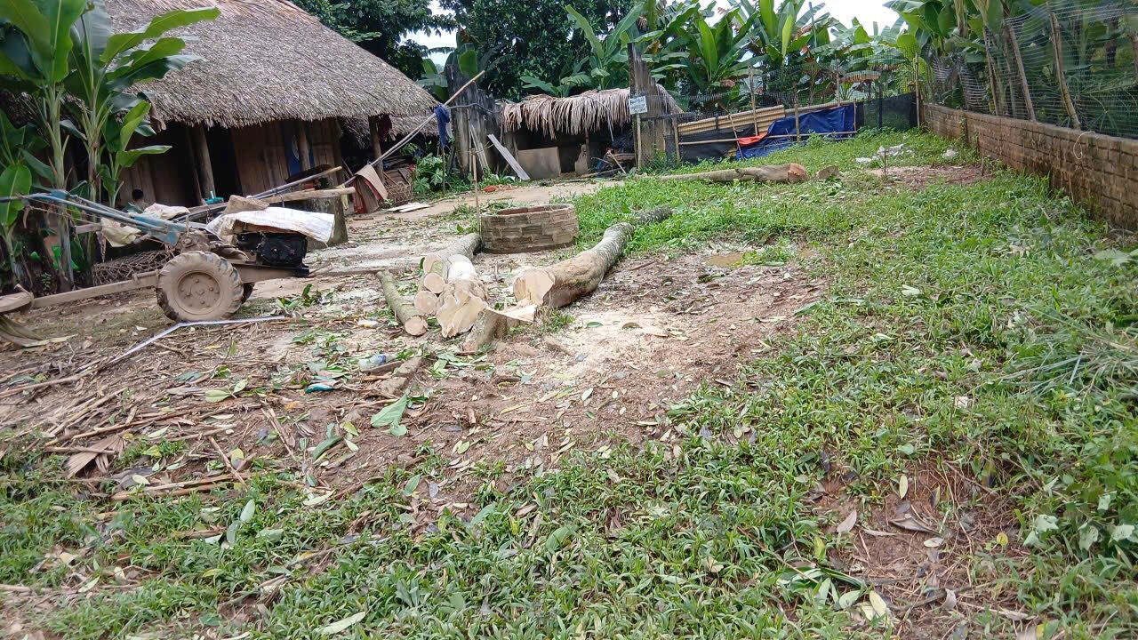 Đất nền thôn Xuân Trường, Vô Điếm 10m² - Cơ hội đầu tư tuyệt vời!