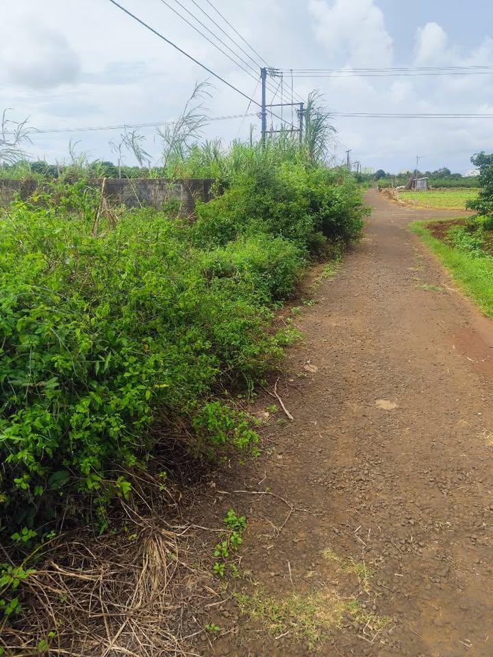 Đất hẻm 63 Hà Huy Tập, Pleiku 300m² giá 800 triệu - Đầu tư sinh lời lý tưởng!