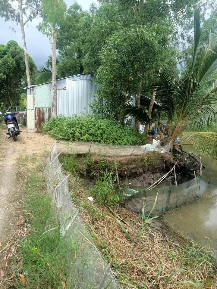 Đất nền vuông vức 24.600m² tại Ấp Cây Khô, Cà Mau - Giá chỉ 90 triệu/1000m²!