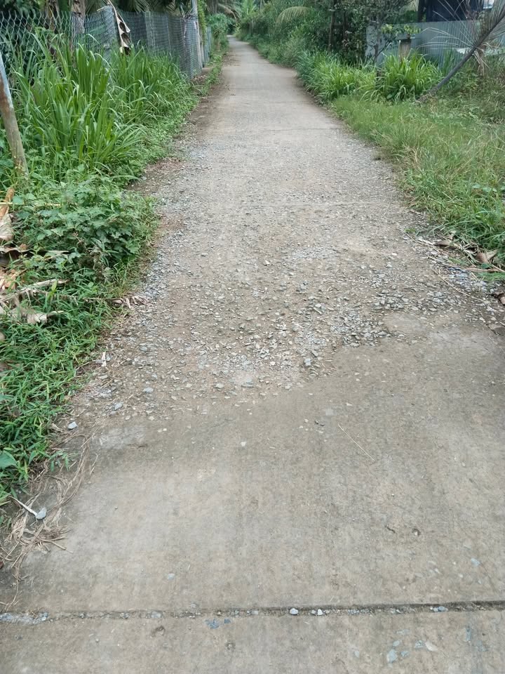 Nhà cấp 4 ấp Sóc Thác, Trà Vinh 417.65m² giá 1.3 tỷ - Nhà rộng rãi thoáng mát!