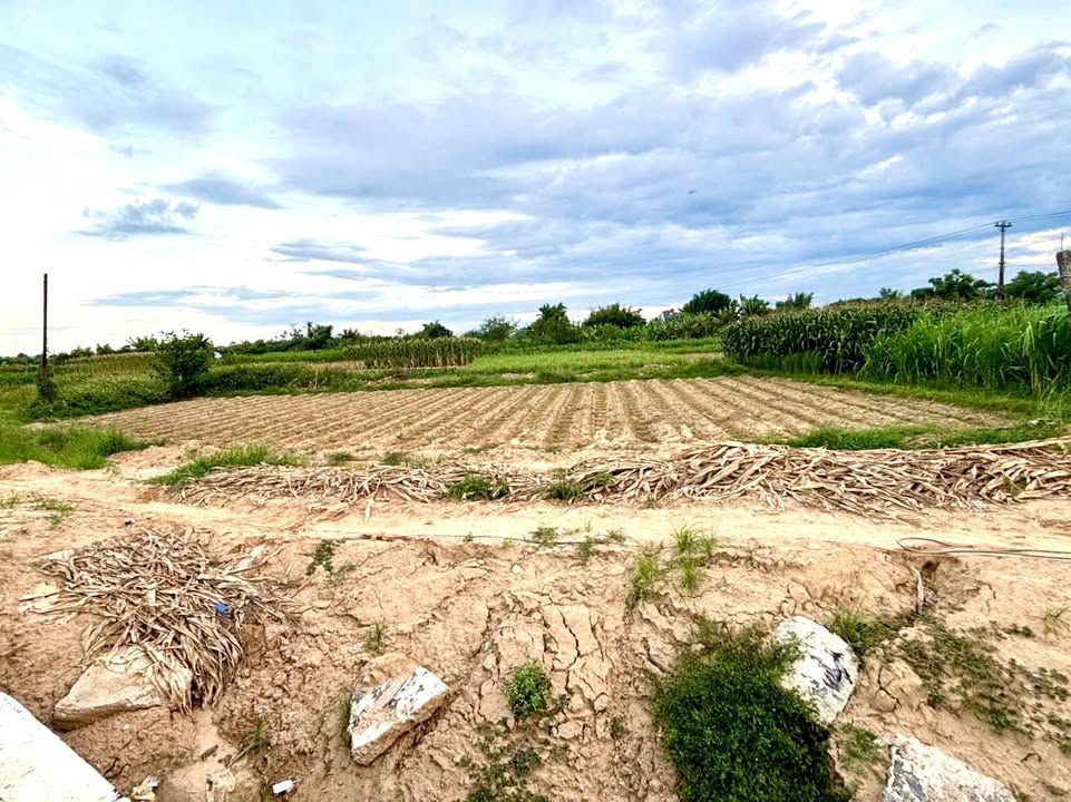 Đất nền Tịnh An 1153m² giá 1.26 tỷ - Mặt tiền đường Hoàng Sa Dốc Sỏi