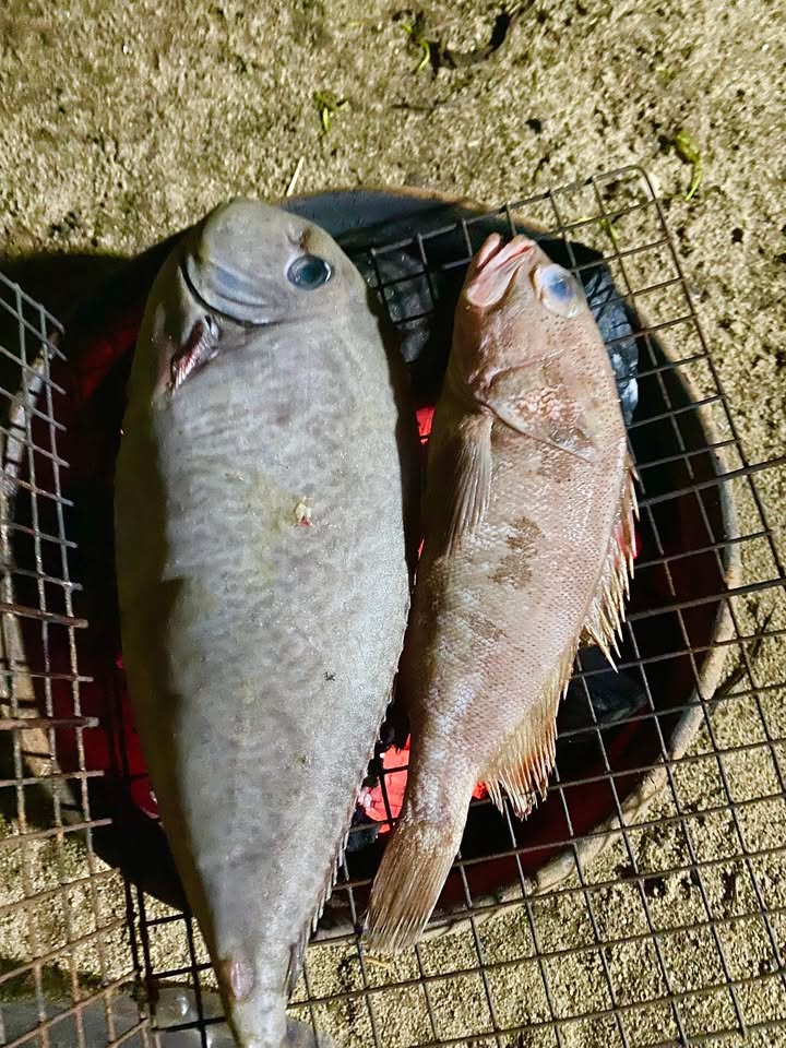 Đất nền Tịnh Long, Quảng Ngãi 150m² giá 790 triệu - Sổ đỏ chính chủ