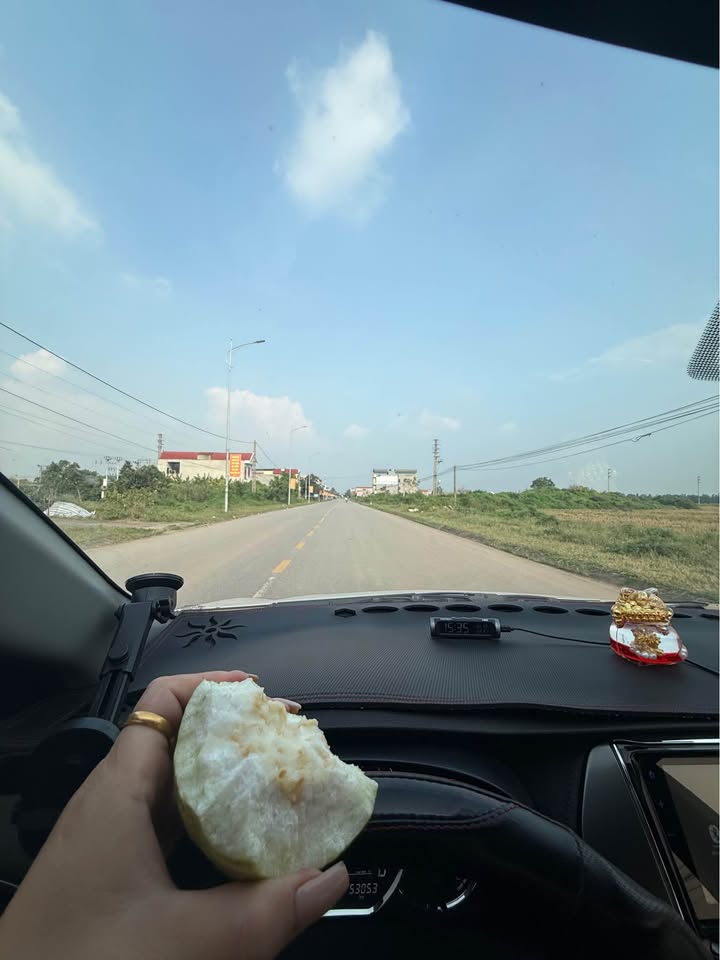 Đất nền Quốc lộ 17, Gia Bình, Bắc Ninh 91m² giá 3 tỷ - Cơ hội đầu tư tuyệt vời!