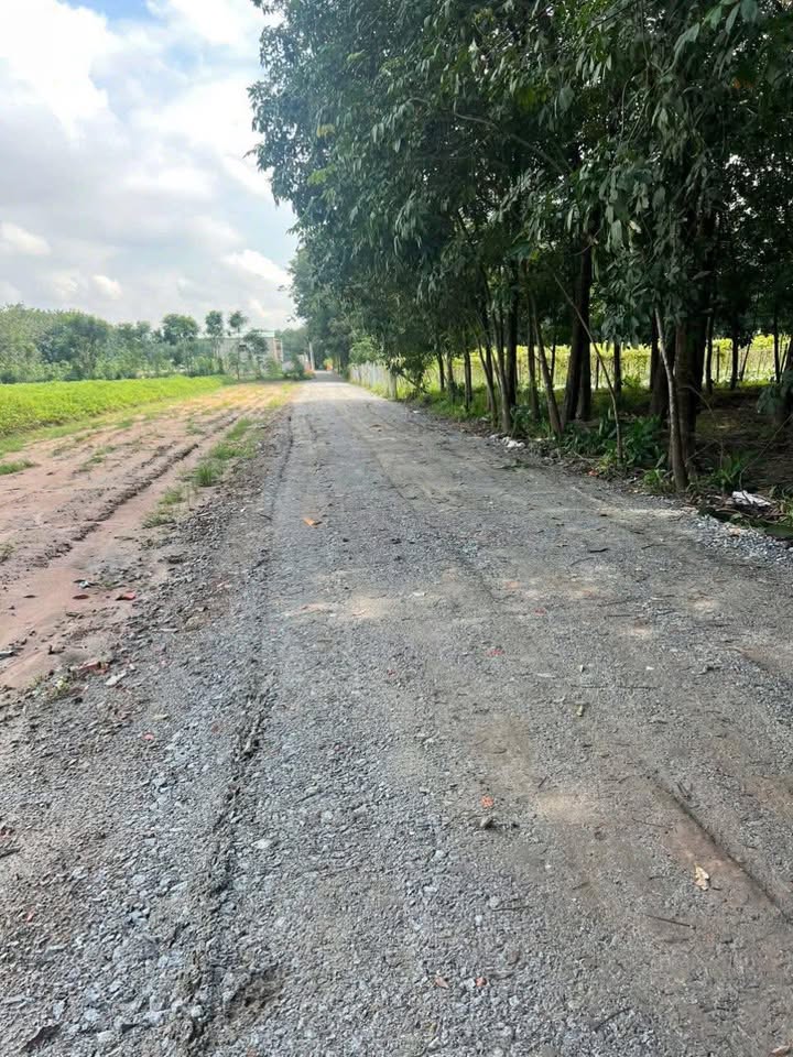 Đất Hòa Lợi, Bến Cát 132m² giá 1 tỷ - Cơ hội đầu tư tuyệt vời!