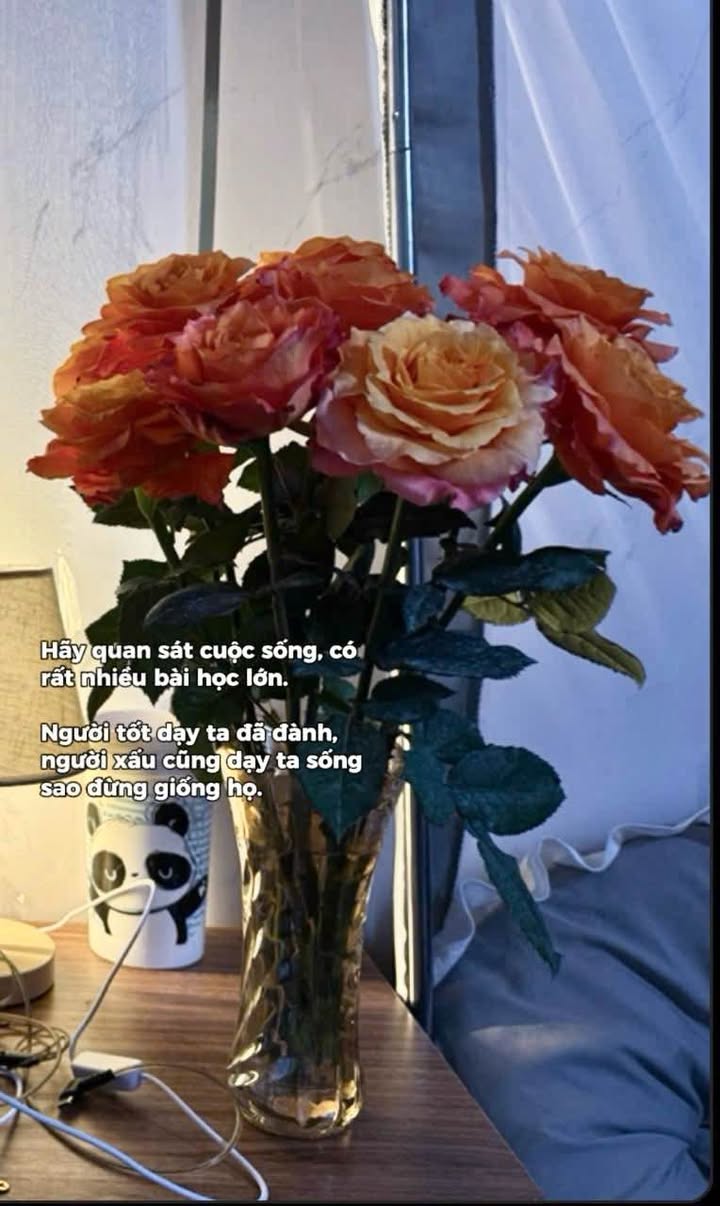 Nhà cấp 4 Đà Lạt 69m² giá 3.1 tỷ - Vào ở ngay, tiện ích đầy đủ!