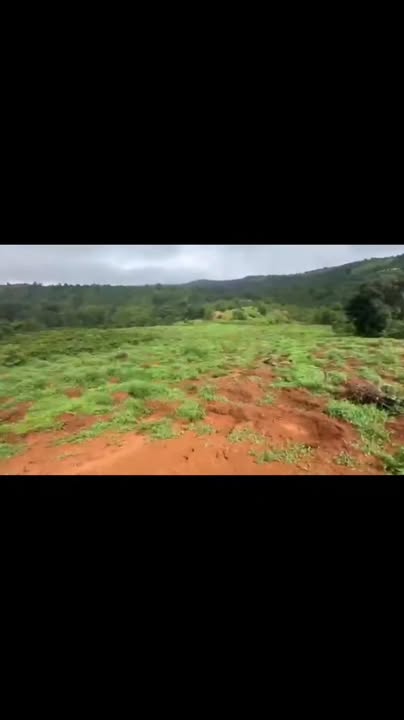 Đất nông nghiệp 1.7ha tại xã Ea Sin, Krông Búk, Đăk Lăk - Giá chỉ 1.87 tỷ VND!