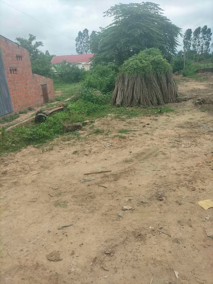 Đất nền xã Ia Tul 450m² giá 320 triệu - Đầu tư sinh lời ngay!