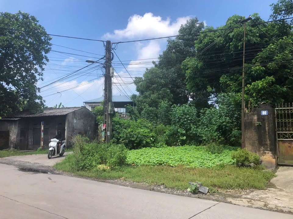 Đất nền phường Quan Triều 151m² giá 1.7 tỷ - Đầu tư sinh lời ngay!