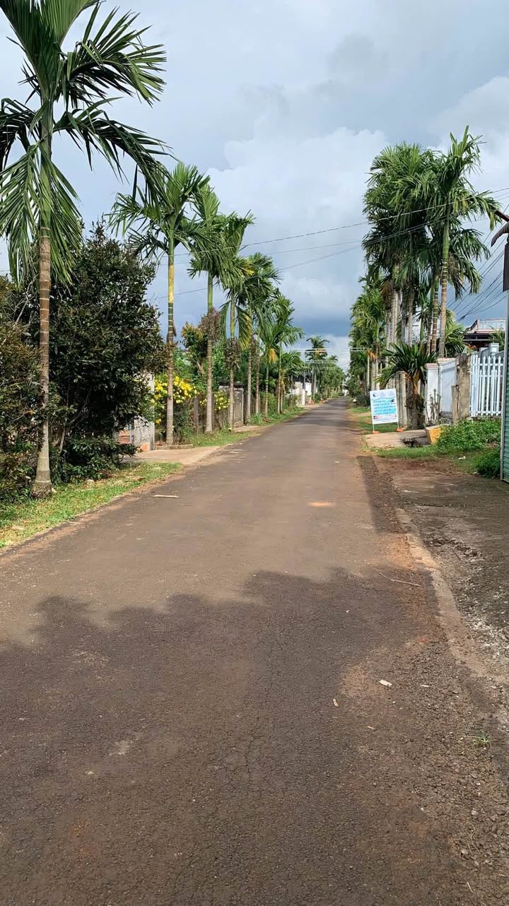 Nhà bán mặt tiền đường 20A, Tân An, Đắk Lắk, 240m² giá chỉ 1.44 tỷ - Cơ hội đầu tư tuyệt vời!