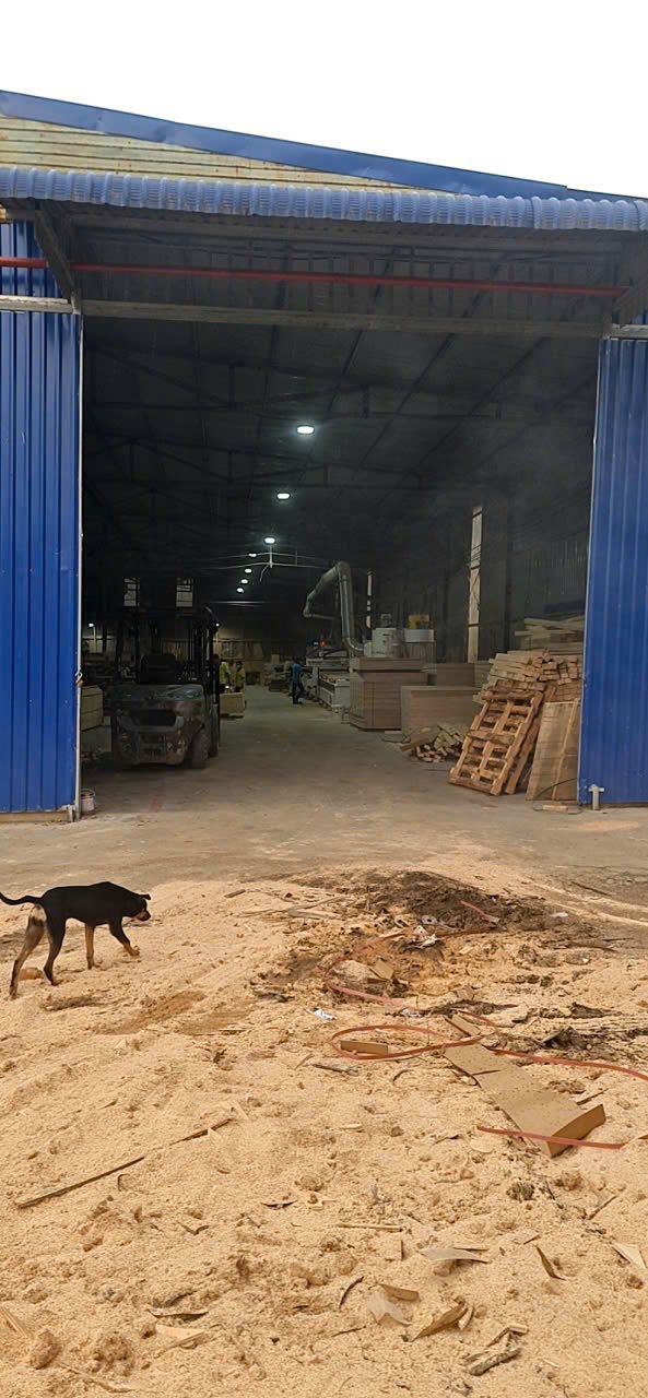 Cho thuê nhà xưởng 1.000m² tại Hội Nghĩa, Tân Uyên - Giá chỉ 60 triệu/tháng!