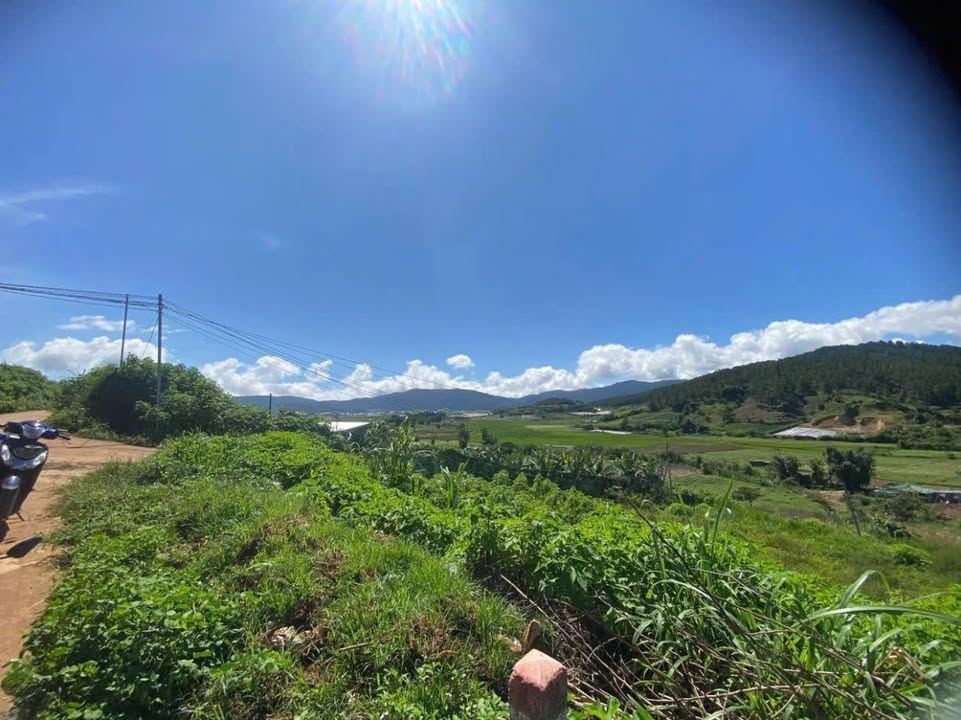 Đất nền Quảng Lập 72m² giá 520 triệu - View sông tuyệt đẹp!